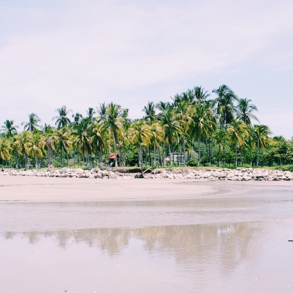 Meet your Posher, Sam